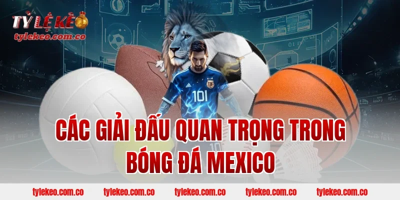 Các giải đấu quan trọng trong bóng đá Mexico