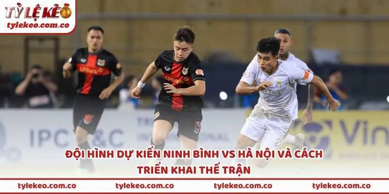 Đội hình dự kiến Ninh Bình vs Hà Nội và cách triển khai thế trận