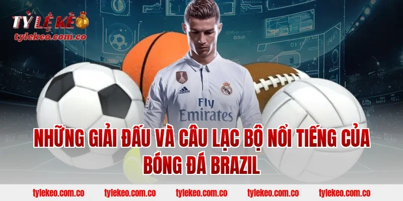 Những giải đấu và câu lạc bộ nổi tiếng của bóng đá Brazil